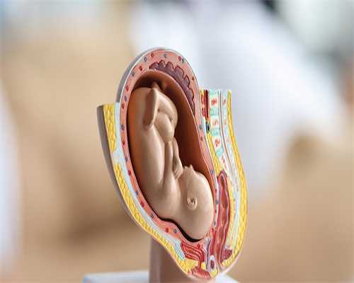 优化助孕成功率：代生机构短方案促排期间关键注意事项与指南